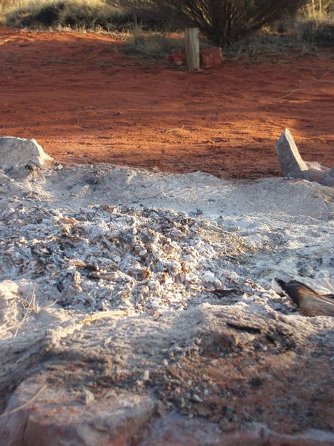 pile of ash remains of a camp fire the next day