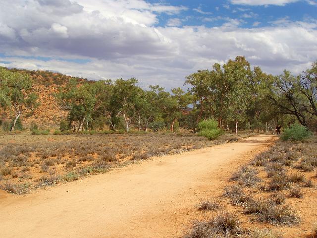 a narrow dirt road in the red centre, near alice springs