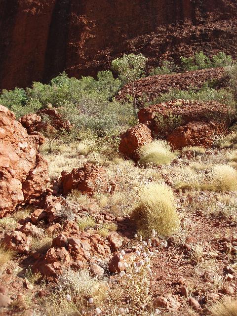 rugged and rocky sandstone conglomerate surface