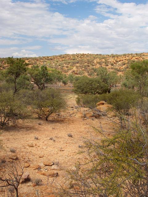 arid desert scrubland near alice springs
