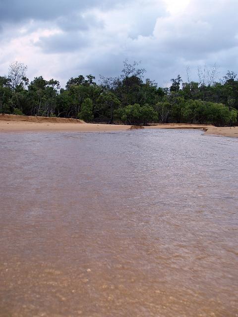 water flooding from a mangrove swamp and across the beach with a stormy sky backdrop