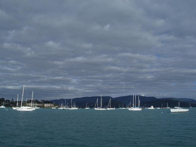boats moored or anchored off airle beach in muddy bay - pioneer bay