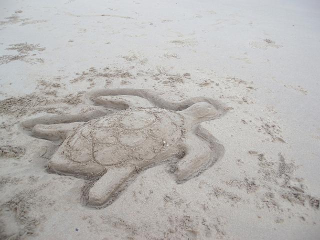 turtle shaped sand sculpture on the beach