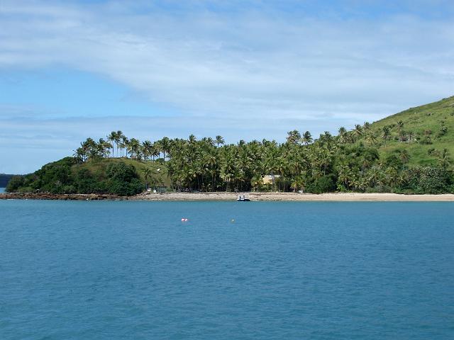 palm trees and a secluded beach on dent island, whitsundays island group, queensland
