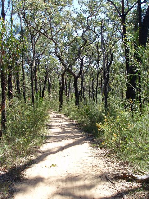 the oaks cycle track in the blue mountains, NSW, Australia