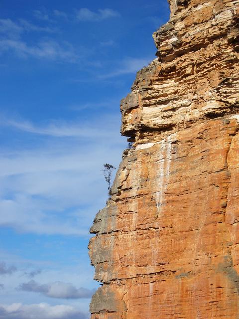 red coloured sandstone cliffs in the grose valley, blue mountains national park