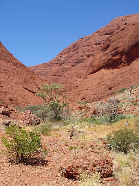 red sandstone valley contrasting against a clear blue desert sky, kata tjuta uluru national park