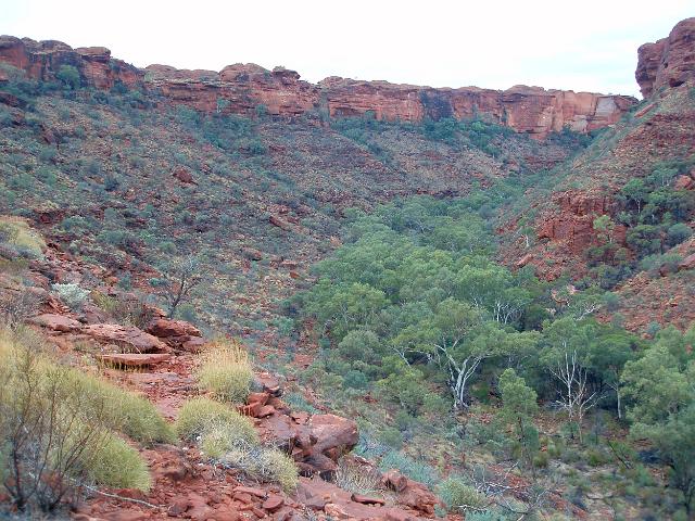 a view of kings canyon, NT, australia