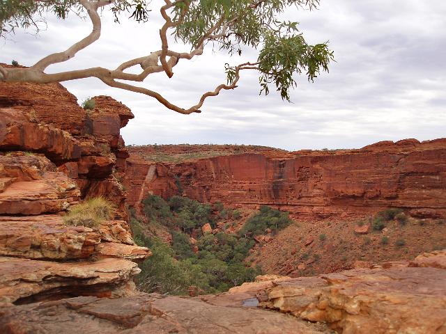 beautiful red sandstone cliffs at kings canyon, Watarrka national park, NT