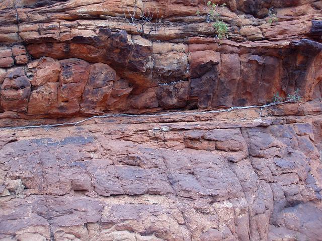 close up on a plant root growing a long way to get water over a cracked sandstone rock