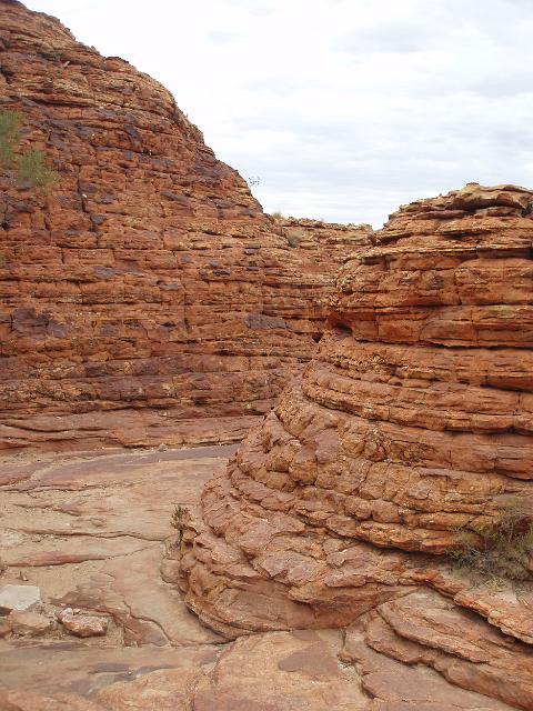 eroded sandstone domes of the lost city near kings canyon, NT
