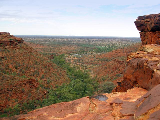 looking down at trees lining the bottom ofkings canyon from the canyon rim, NT, australia