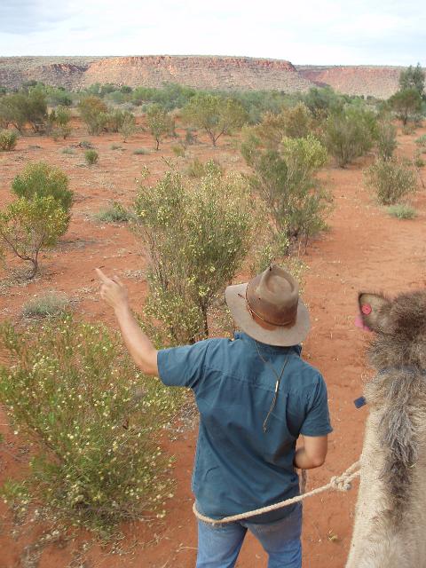 a camel ride at kings creek station