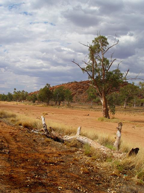 the dry sandy riverbed of the todd river near alice springs, NT