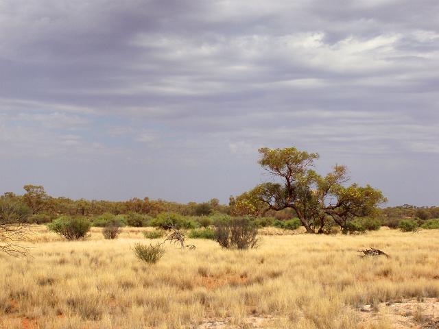 a arid zone landscape - miles from anywhere