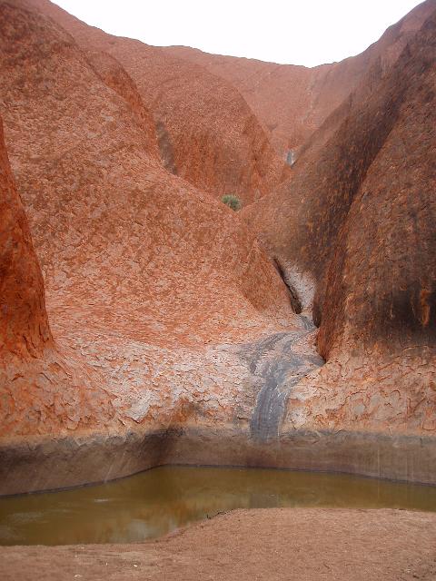 waterhole at the foot of uluru fed from water run off from the rock