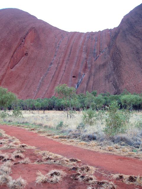 a view on the footpath walking aroud the base of uluru - ayres rock
