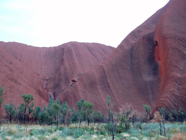 a view of uluru from the kuniya walk near the mutitjulu waterhole