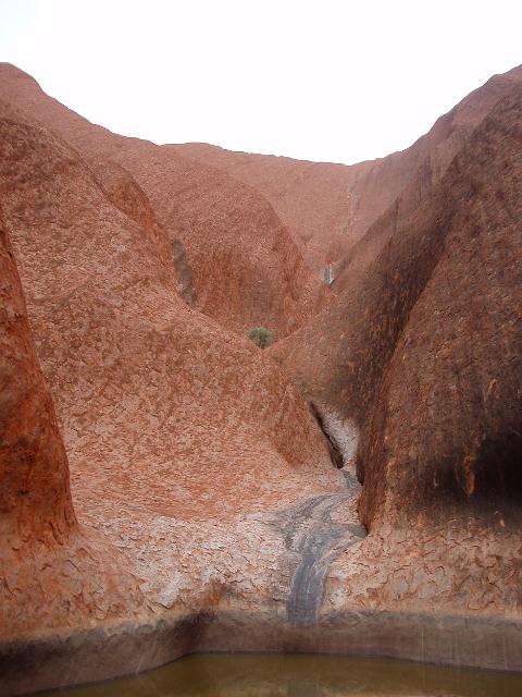 waterhole at the base of uluru - ayres rock
