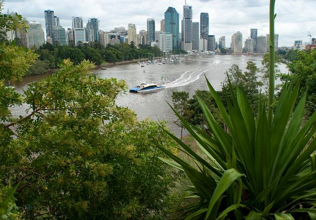 Brisbane viewed from Kangaroo Point over lush tropical vegetation with a river ferry passing below and a view of the highrise buildings of the CBD