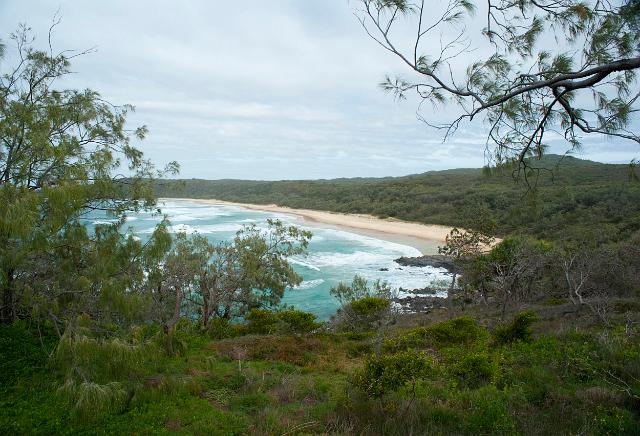 View through lush tropical foliage of the sandy beach at Alexandria bay, Noosa, Queensland, Australia