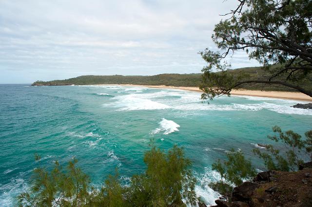 View past foliage of the sandy golden beach at Alexandria Bay, Noosa in Queensland, Australia