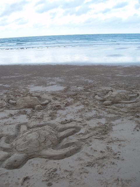 turtles shaped sand sculptures on the beach