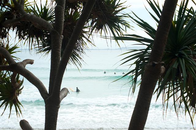 View between tropical palm trees of the beach and surf at Noosa, Queensland, Australia with surfers waiting to catch a wave