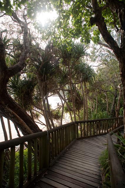 Deserted boardwalk leading through the trees at Pandanus beach, a popular recreational area close to Brisbane, Australia