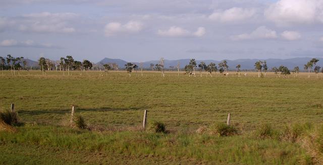 queensland farming land