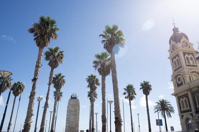 Sunny Glenelg, Adelaide, Australia with tropical palm trees and the Pioneer Monument commemorating the foundation of South Australia