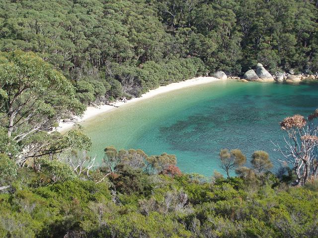 beautiful blue waters of refuge cove wilsons promontory, victoria