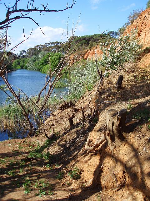 red earth banks of the werribee river, victoria